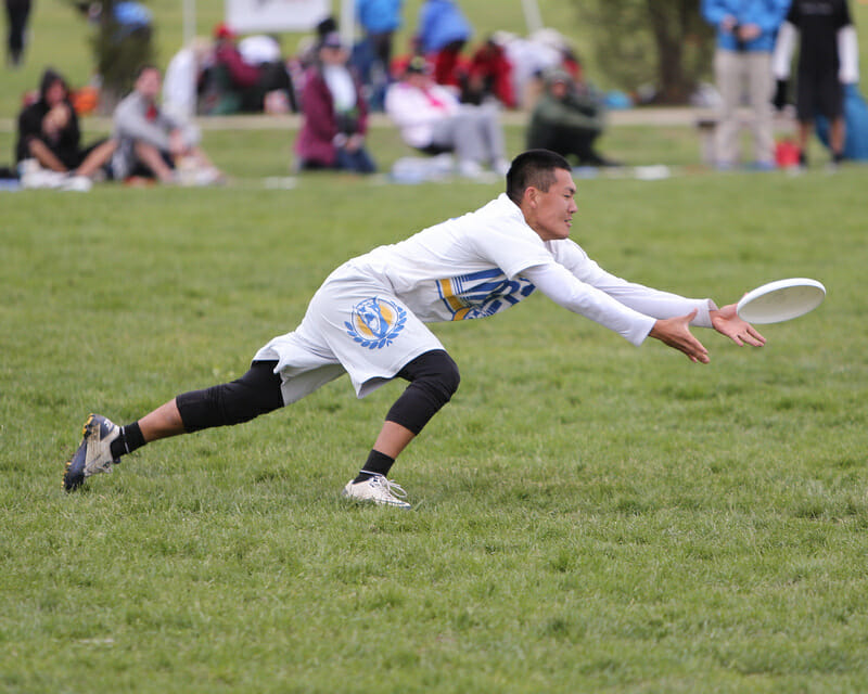A Davis player gets down for the disc at the 2013 College Championships.