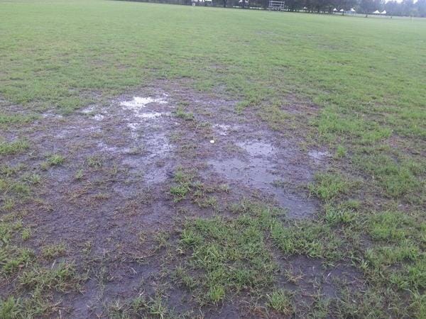 Wet fields in Lecco.