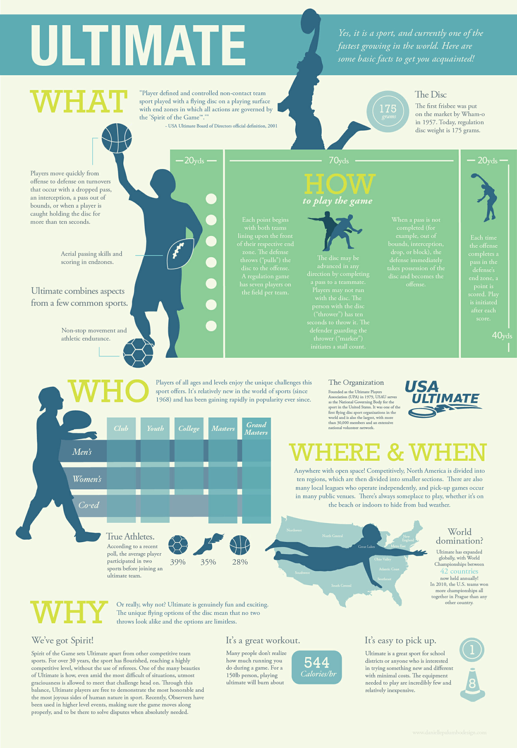 Infographic about Ultimate by Danielle Palumbo.